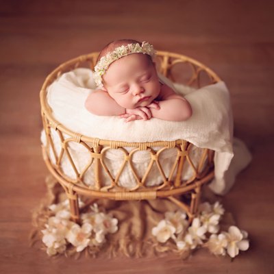 Why book a professional newborn photographer 