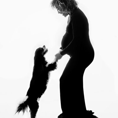 San Diego studio maternity photoshoot with a dog.