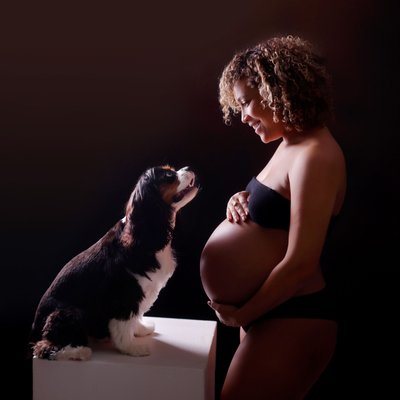 San Diego maternity photography with dogs