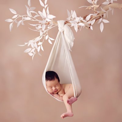 Newborn Baby hanging on the branch