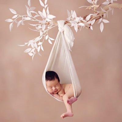 Newborn Photography San Diego Baby Hanging Branch Pose