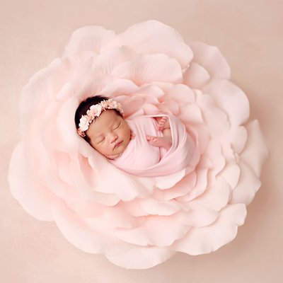 Newborn Photographer San Diego Anne Geddes baby flower