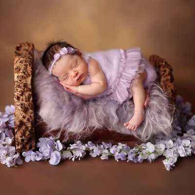 How to choose the best San Diego Newborn Photographer 