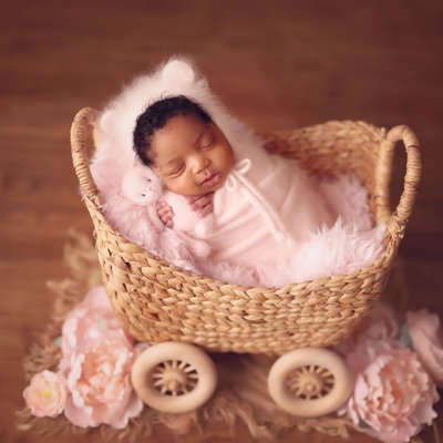 San Diego newborn photographer baby carriage