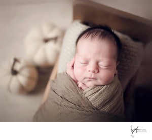 newborn shoots