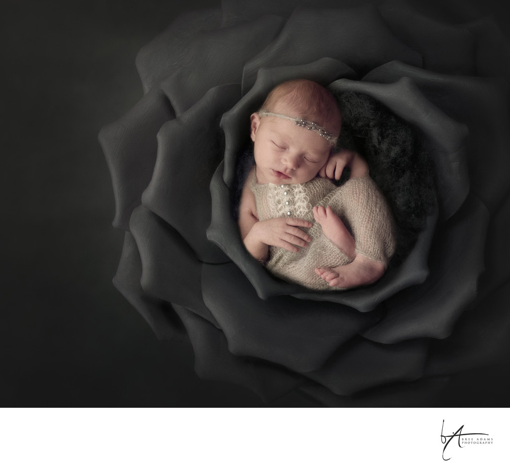 Newborn artistic images with Bree Adams Photography