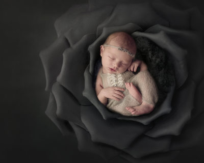 Newborn artistic images with Bree Adams Photography