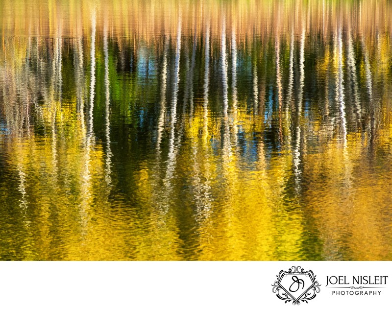 River Bend Reflections