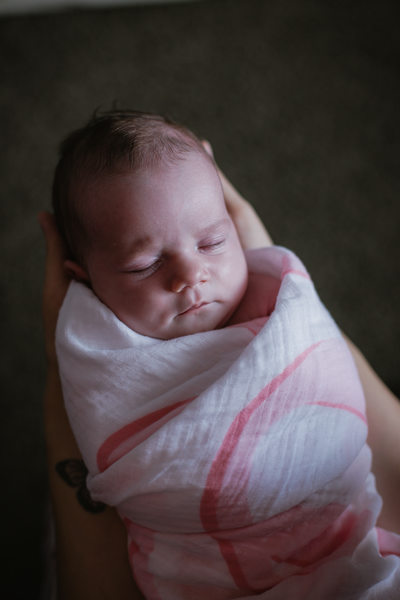 Colorado Springs Newborn Portrait Photography 