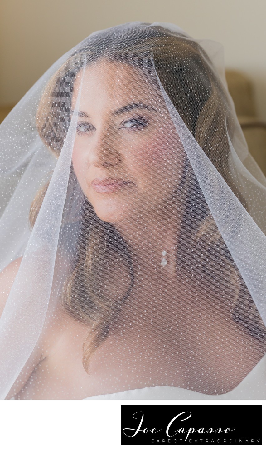 bride looking through veil on wedding day