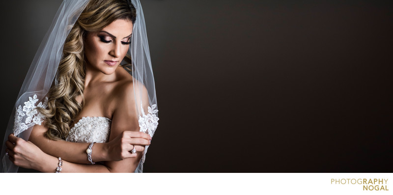 Beautiful Classic Bride Portrait using Window Light