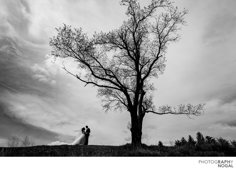 Bride and Groom under copper creek tree, dramatic sky