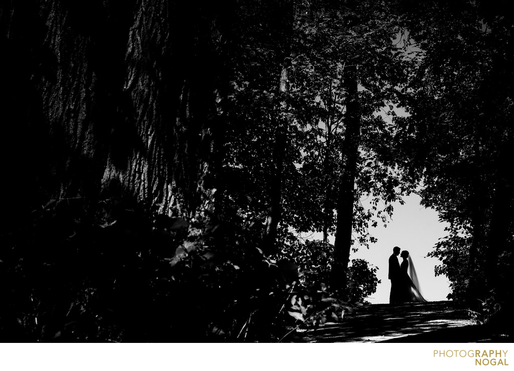Bride and Groom Silhouette at Geraldo's at Lasalle Park