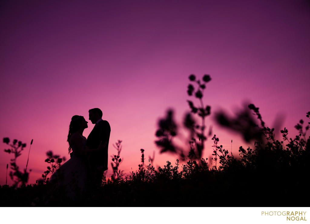 Bride and Groom Silhouette in Fields of West Lake