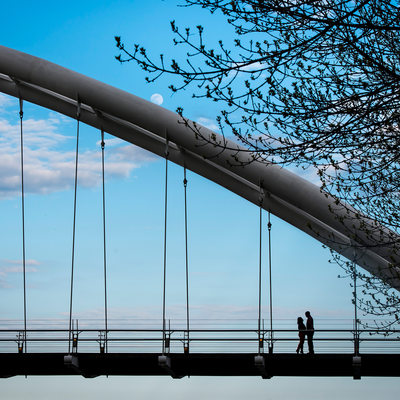 Glancing At Each Other On Humber Bay Bridge