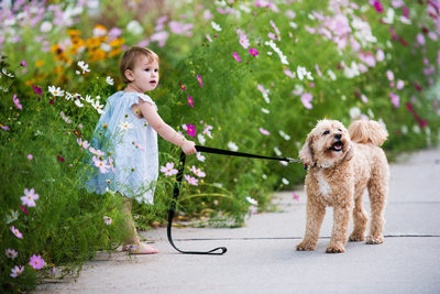 girl holding dog on leash in a flower garden