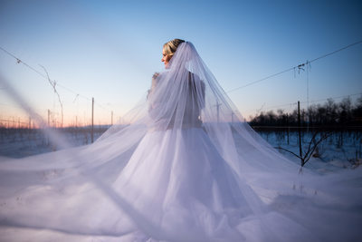 Bride In The Show With Long Veil