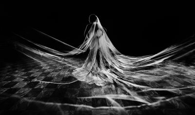 Bride's Long Veil