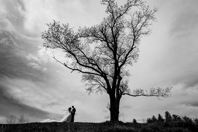 Bride and Groom under copper creek tree, dramatic sky