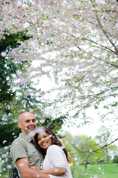 Cherry Blossoms in High Park During Engagement Shoot