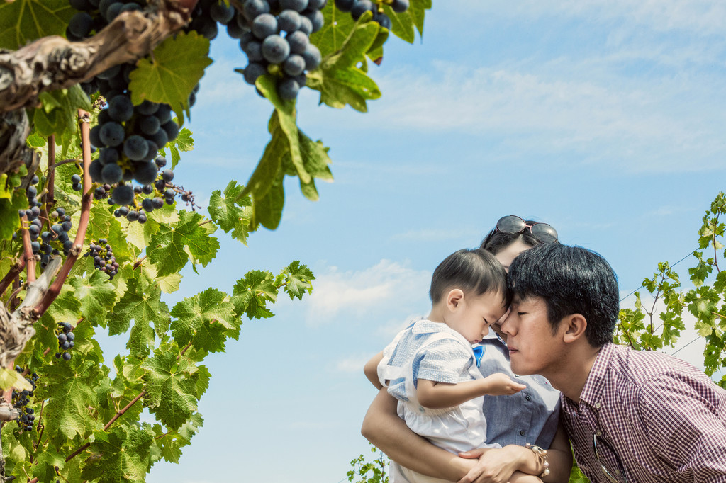 family in the vineyards