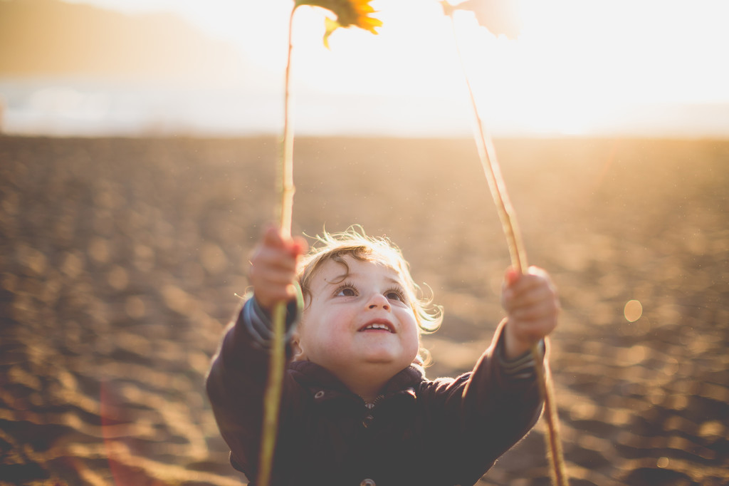 toddler plays with sunflowers