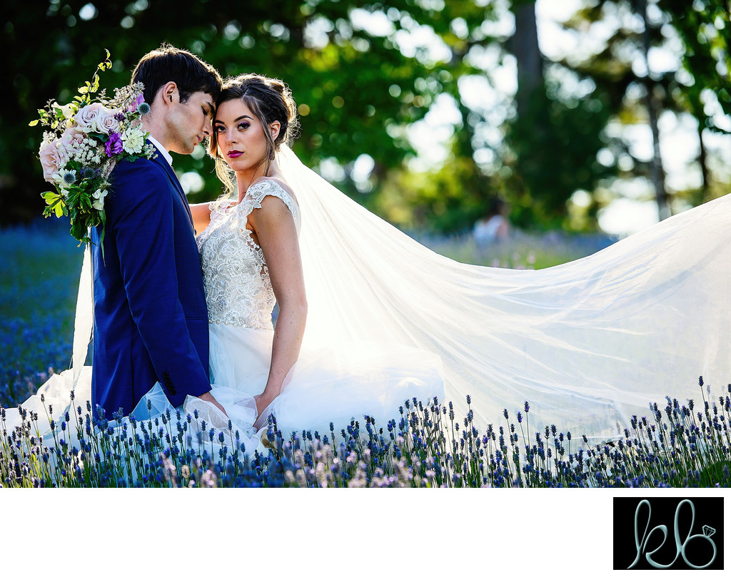 Lavender Field Wedding Photos in Langley