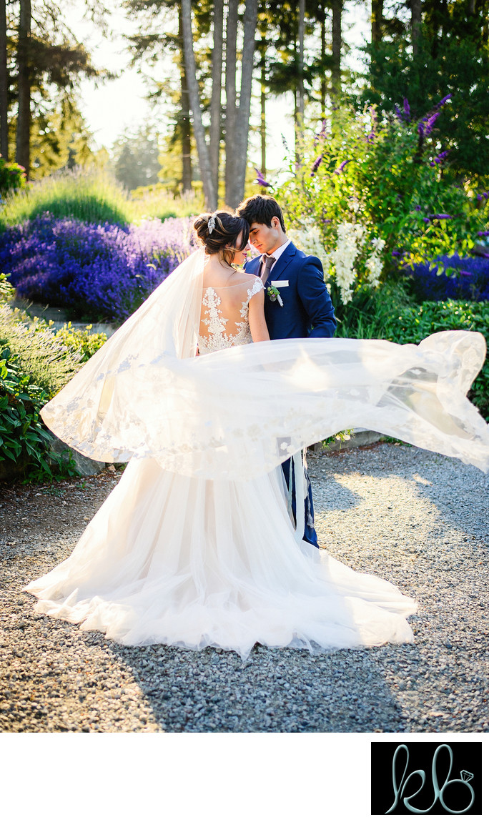 Best Wedding Photographer in Aldergrove