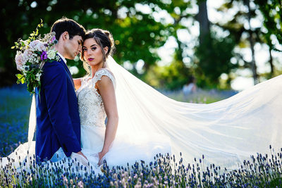 Lavender Field Wedding Photos in Langley
