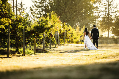 Weddings at Mount Lehman Winery in Abbotsford
