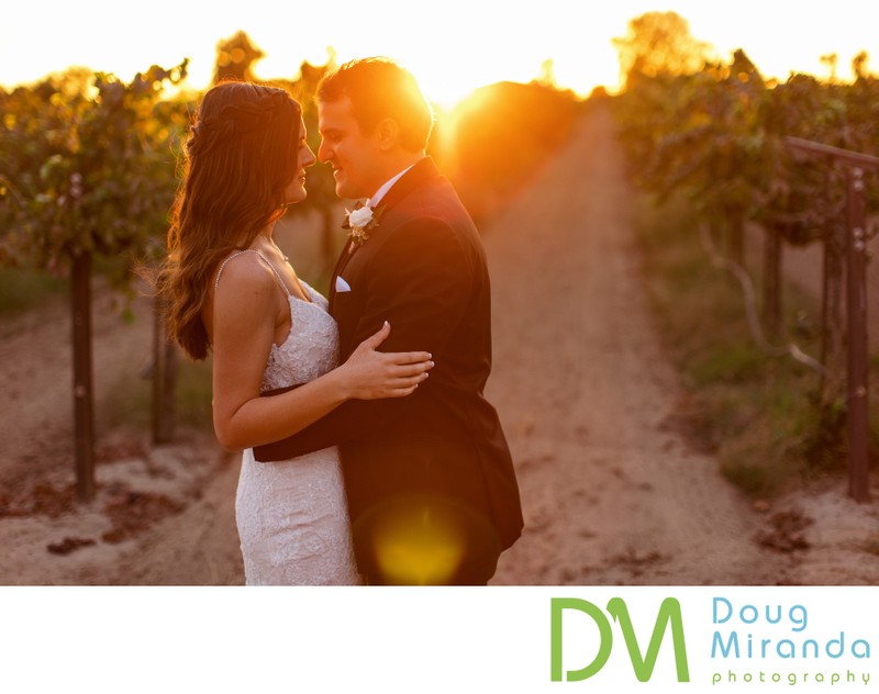 Durst Winery Wedding  Photographer