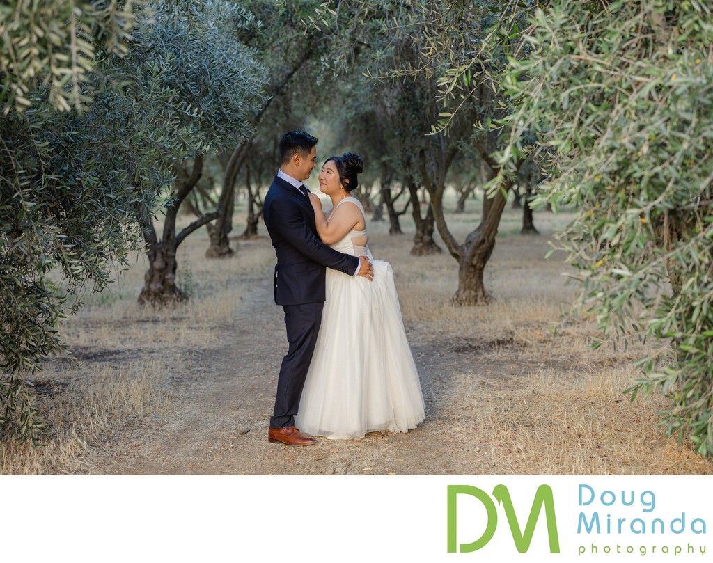 Wolfe Heights Estate Wedding Photographer