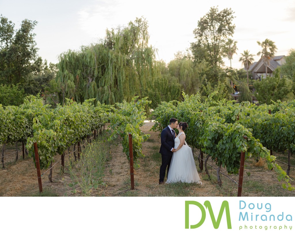 Wolfe Heights Winery Wedding Photography