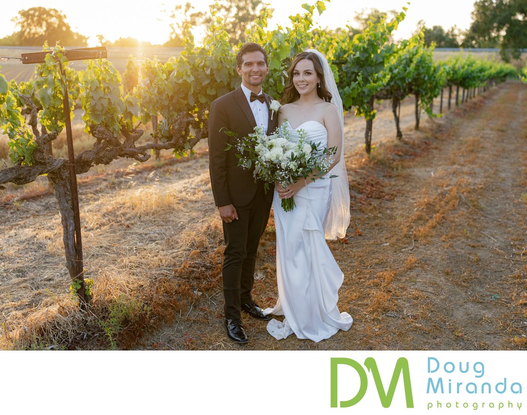 Scribner Bend Vineyards Sunset Wedding Photos