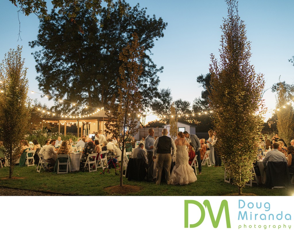 Hidden Grove Wedding Reception Photo