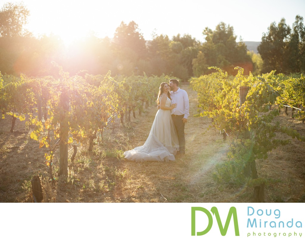 Cline Family Cellars Vineyard Wedding Photos