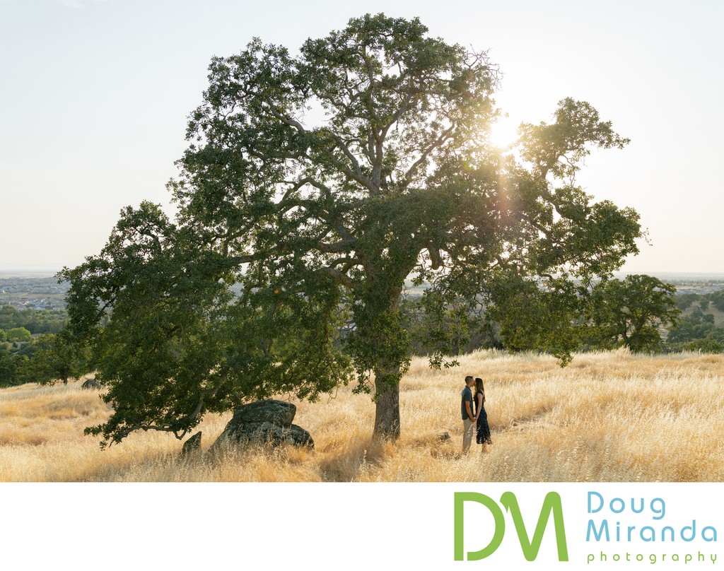 Sacramento Oak Tree Engagement 