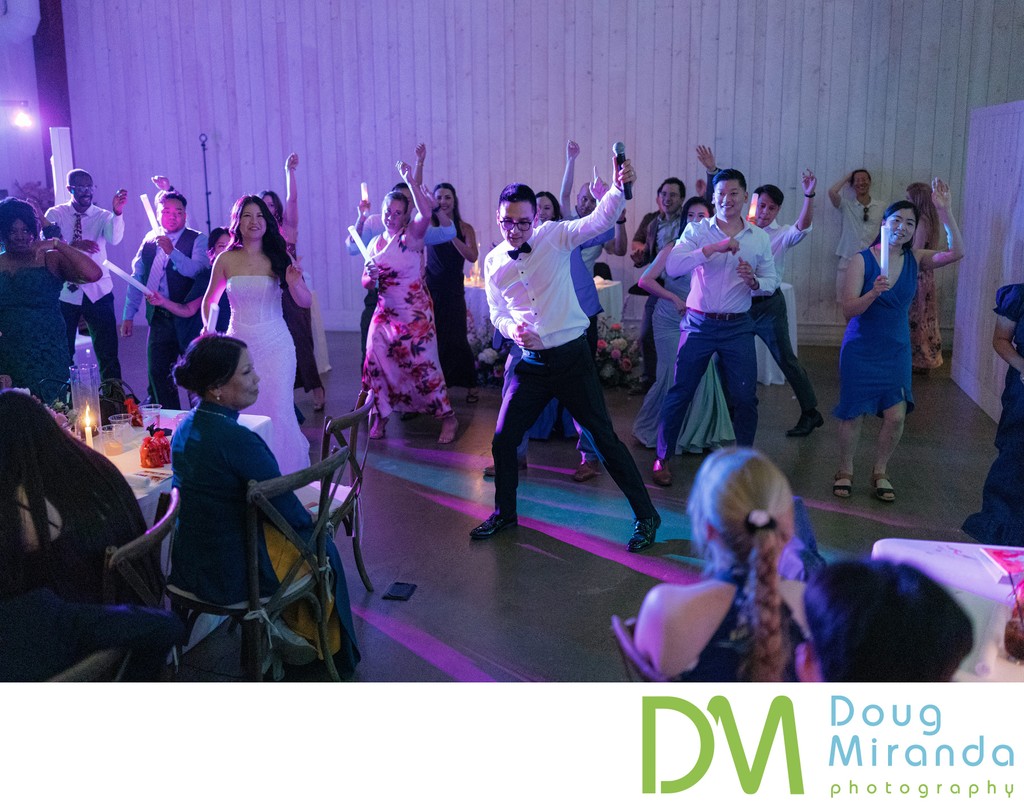 Park Winters Reception Dancing