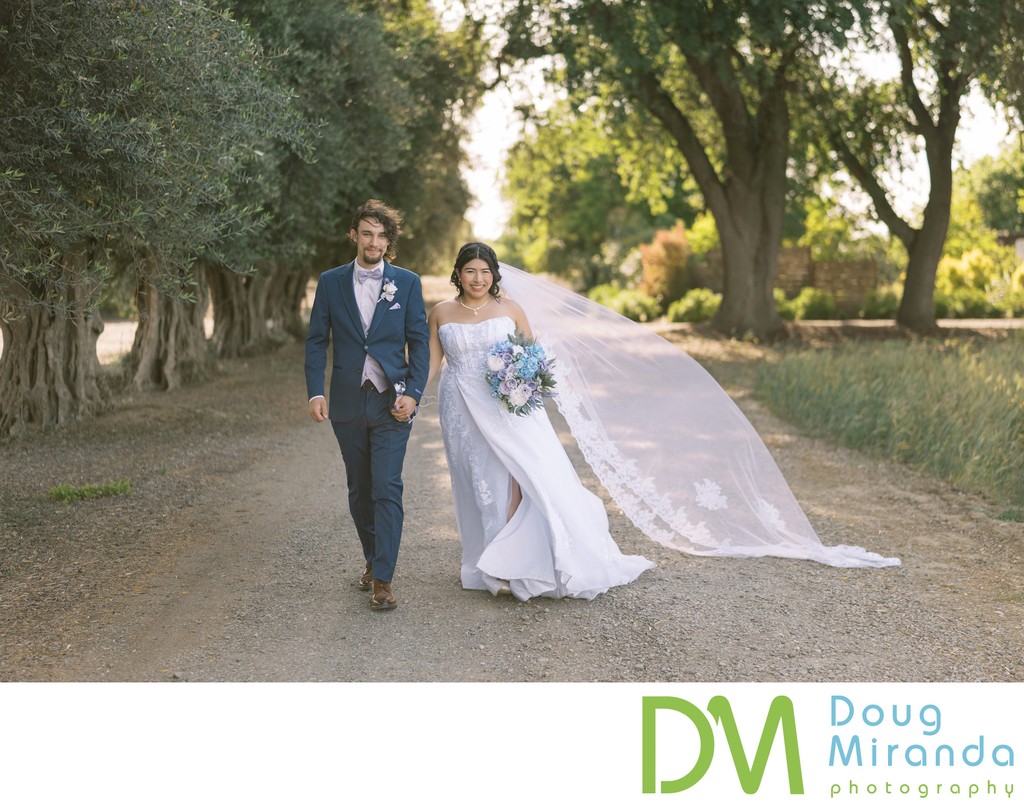 Hidden Grove Wedding Photo 