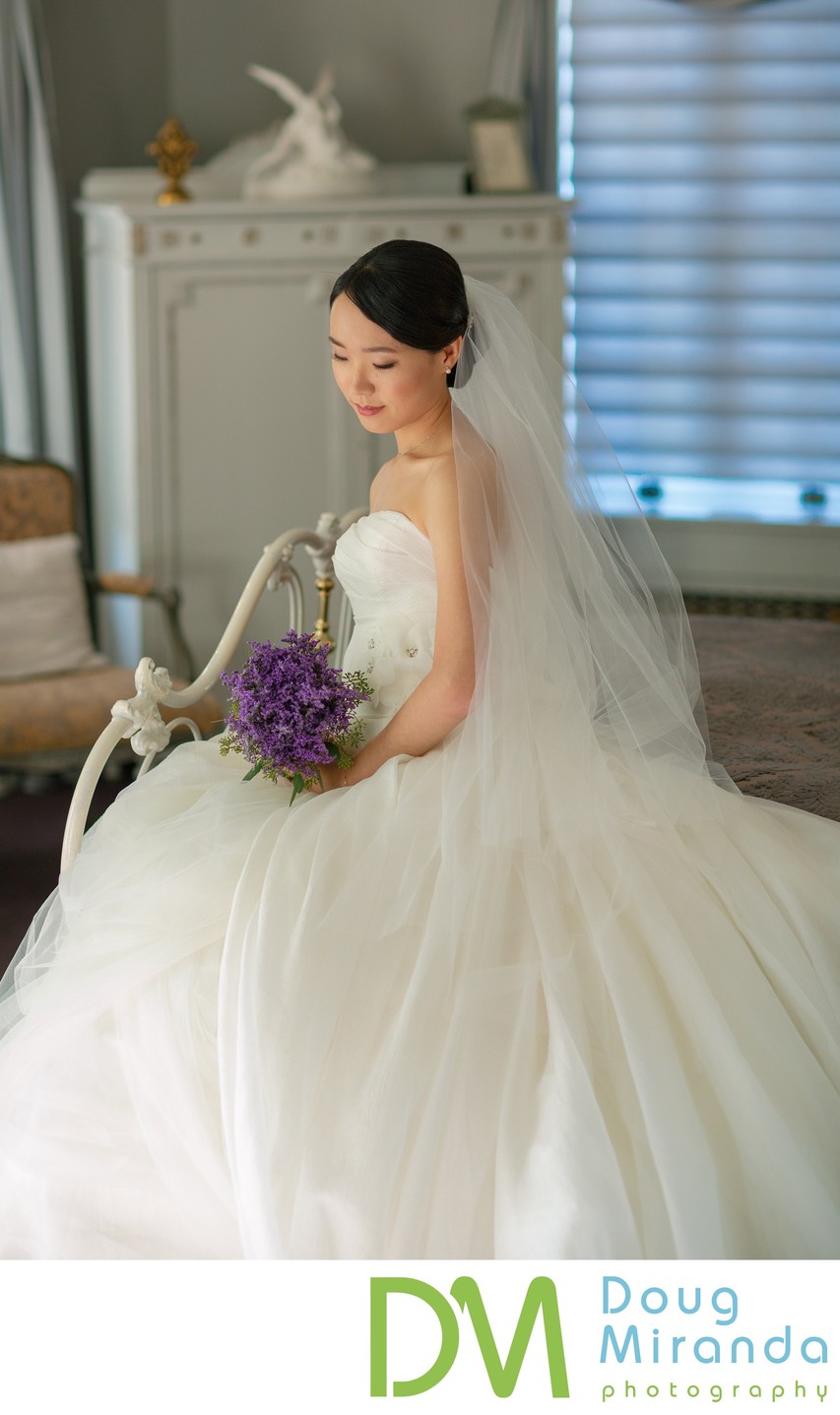 Bridal Wedding Portraits at Grand Island Mansion