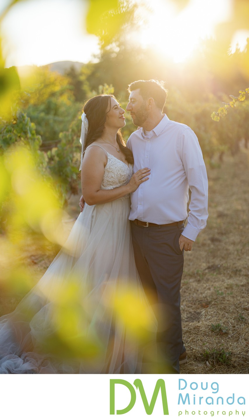 Cline Family Cellars Vineyard Wedding Portrait