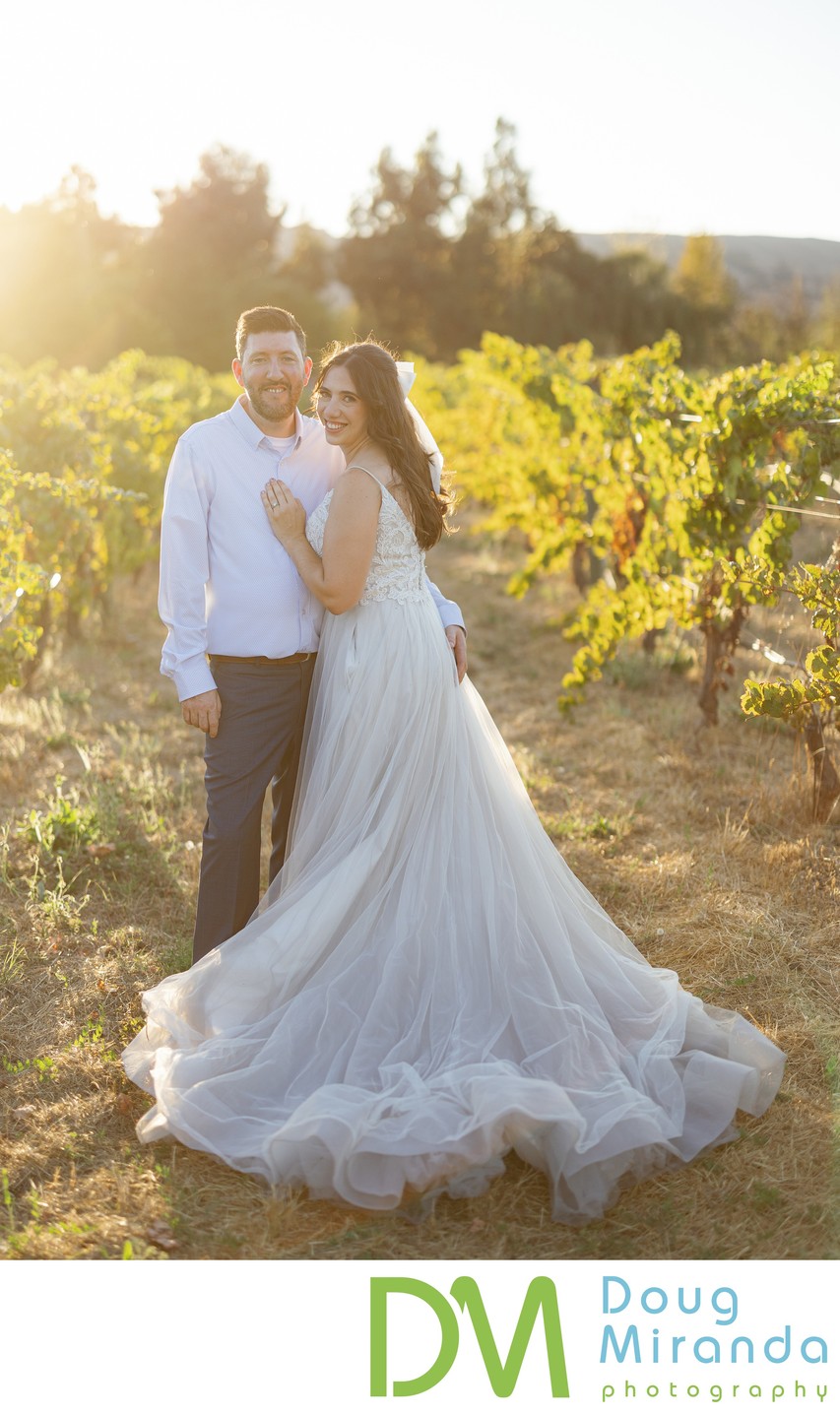 Cline Family Cellars Vineyard Wedding Photo