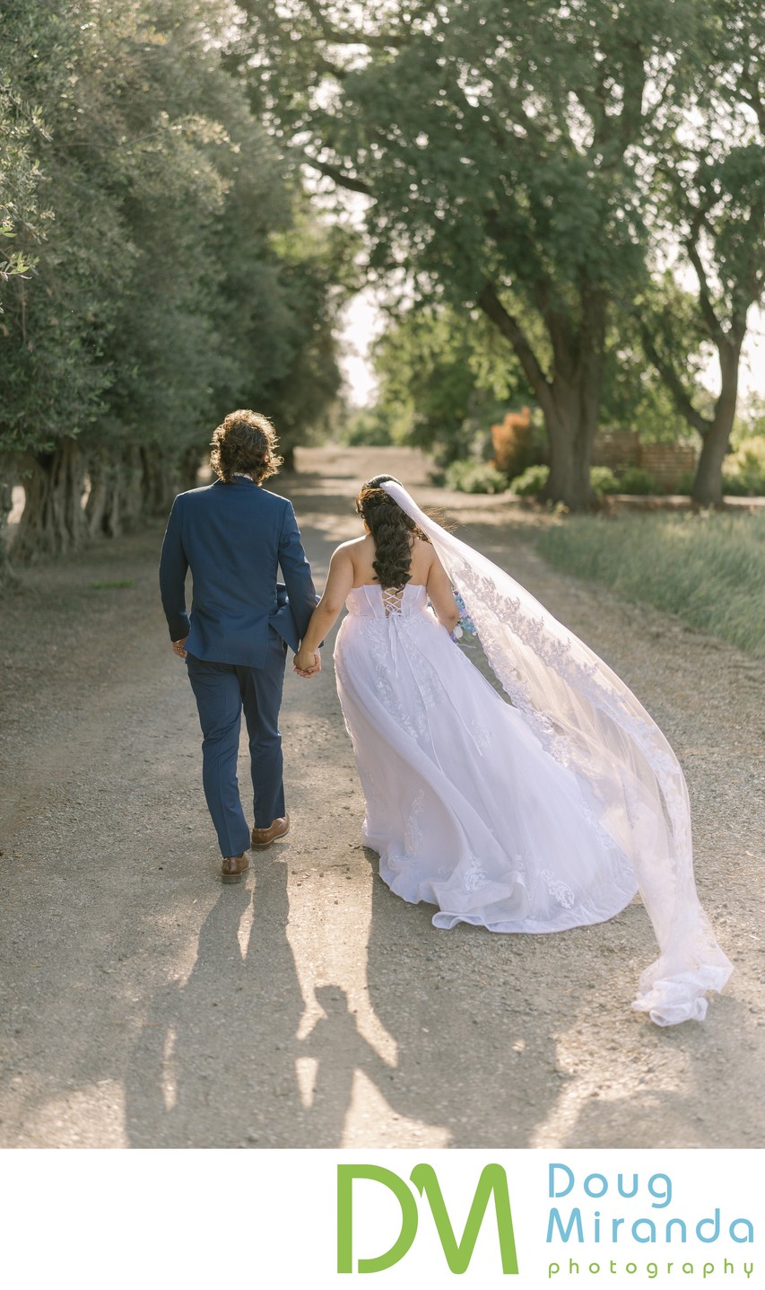 Hidden Grove Wedding Portraits 