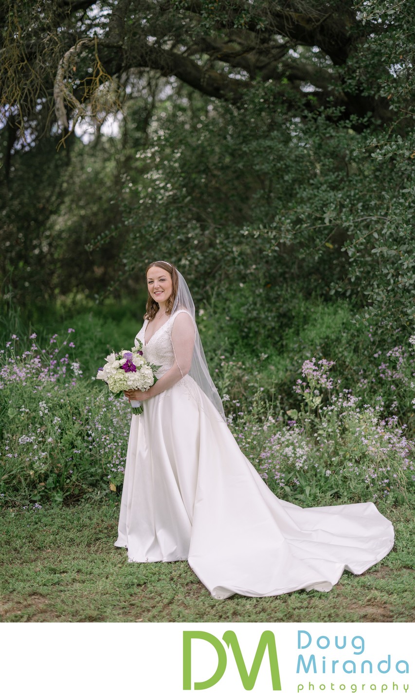 Pavilion at Haggin Oaks Wedding Portraits