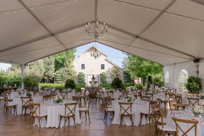 Scribner Bend Vineyards Wedding Reception Photo