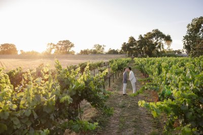 Scribner Bend Wedding Sunset Photo