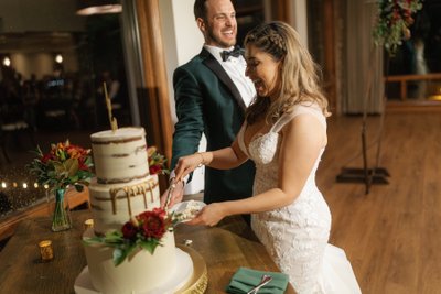 Winchester Estate Wedding Cake Cutting