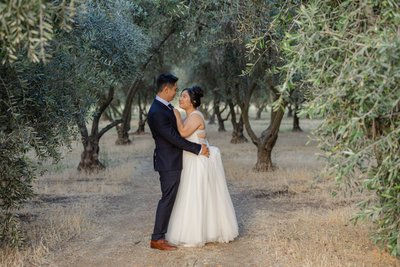 Wolfe Heights Estate Wedding Photographer