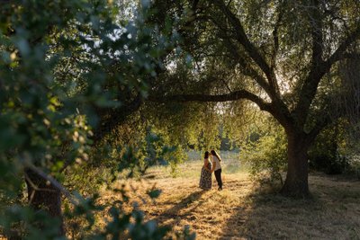 Oak Tree Engagement 