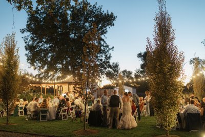 Hidden Grove Wedding Reception Photo